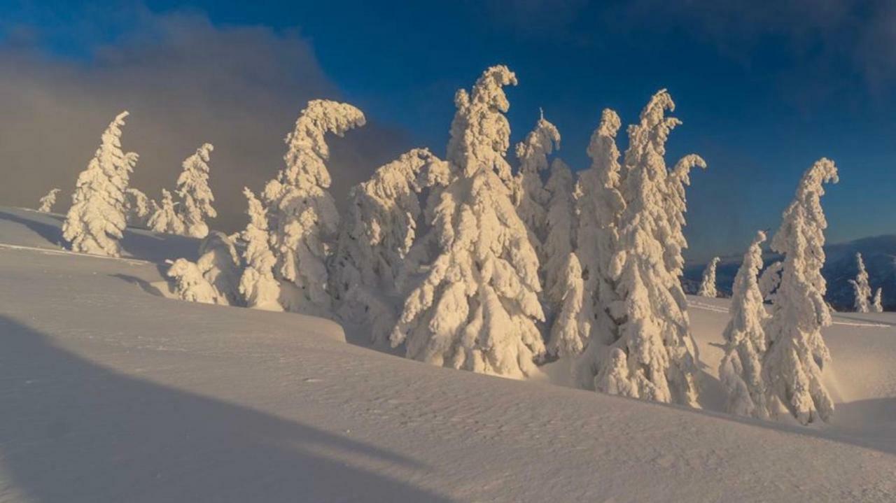 Alpengasthof Grobbauer Rottenmann Kültér fotó